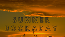 Summer Reads: Bookaday