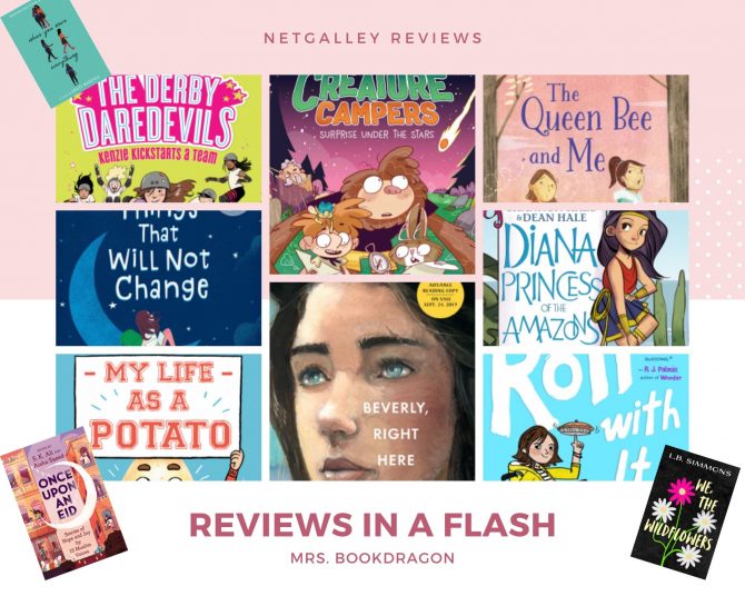 NetGalley Reviews In A Flash