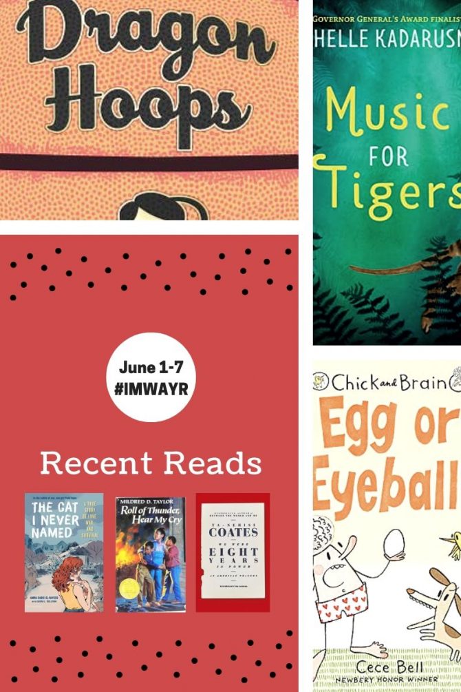 Recent Reads and Bingo Check-In
