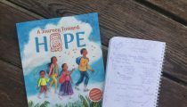 Picture Book Frenzy: A Journey Toward Hope by Victor Hinojosa and Coert Voorhees and illustrated by Susan Guevara