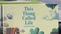 Labor Day Picture Book Frenzy Book 5: This Thing Called Life by Christian Borstlan