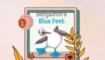 Day 2 of Picture Book Frenzy: Benjamin’s Blue Feet by Sue McCartney