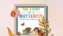 Day 8 of Picture Book Frenzy: The Story of a Butterfly by Margaret Rose Reed and Manu Montoya